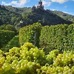 Lägenhet Weingut Gaestehaus Bach *