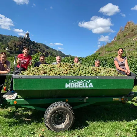 Weingut Gaestehaus Bach Appartement *