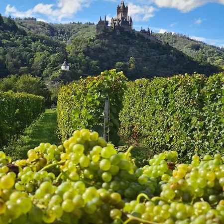 Appartement Weingut Gaestehaus Bach *