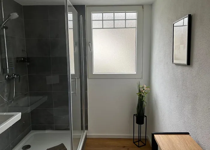 Apartamento Weingut Gaestehaus Bach *