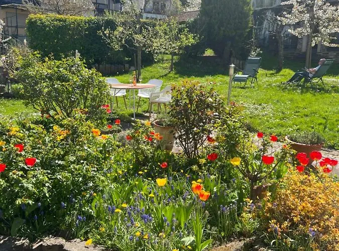 Weingut Gaestehaus Bach * Cochem