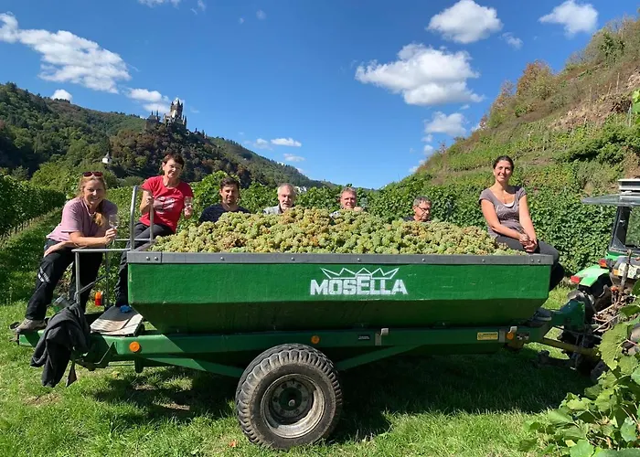 Weingut Gaestehaus Bach Apartamento *