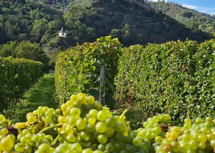 Apartamento Weingut Gaestehaus Bach *